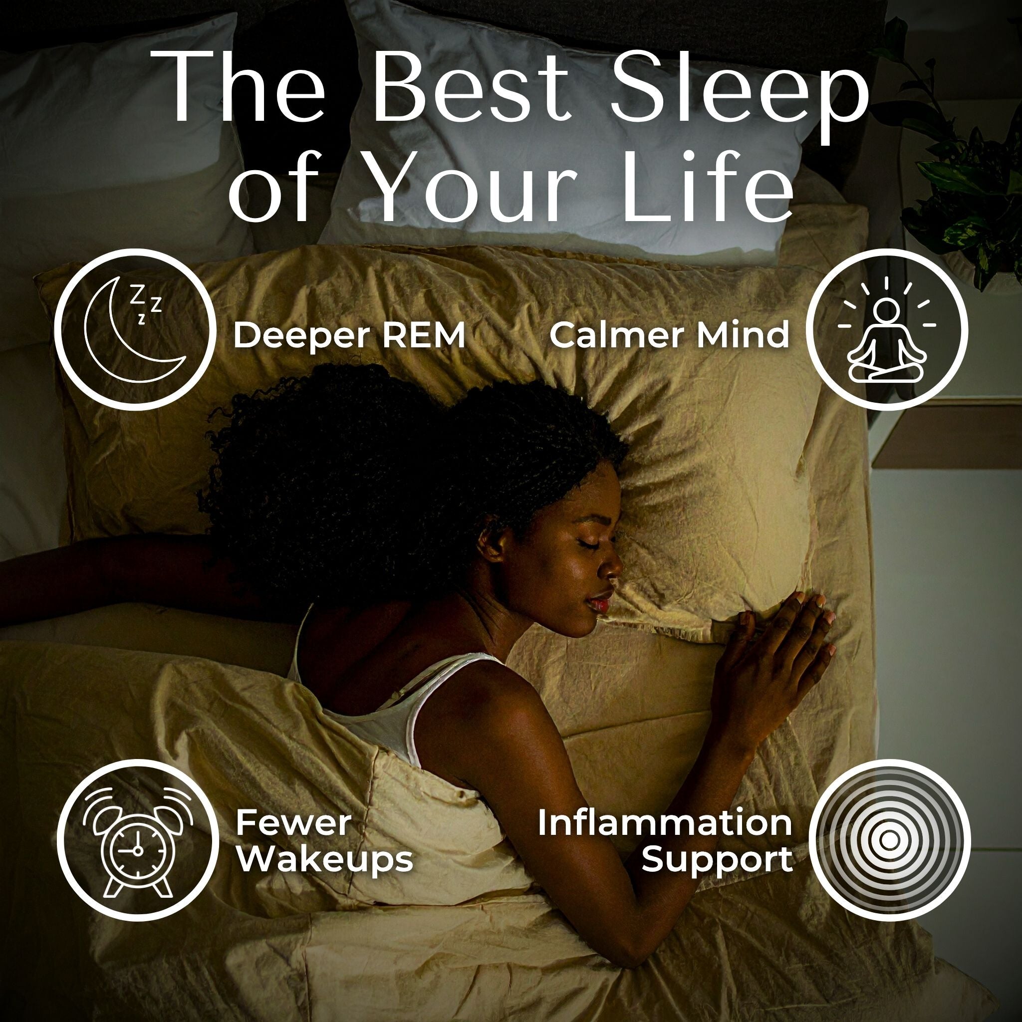 Nightly Turmeric Sleep Gummies