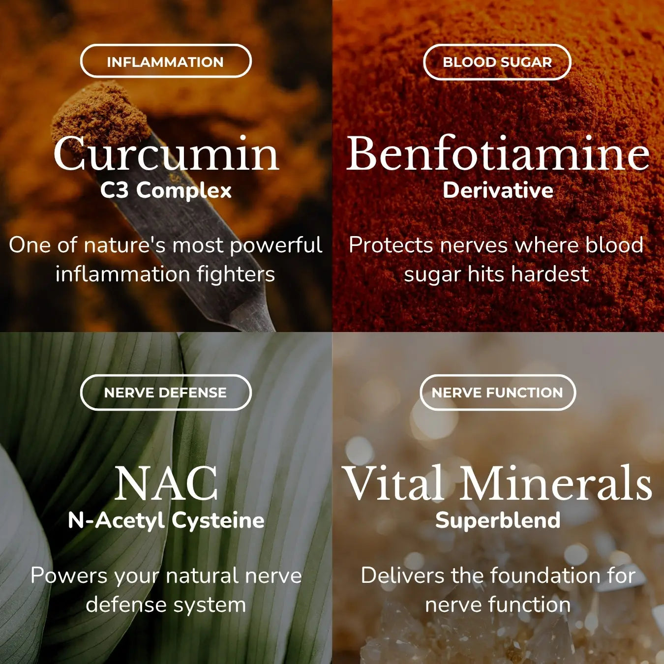 Best supplement for neuropathy